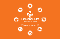 HỒNG CHÚC